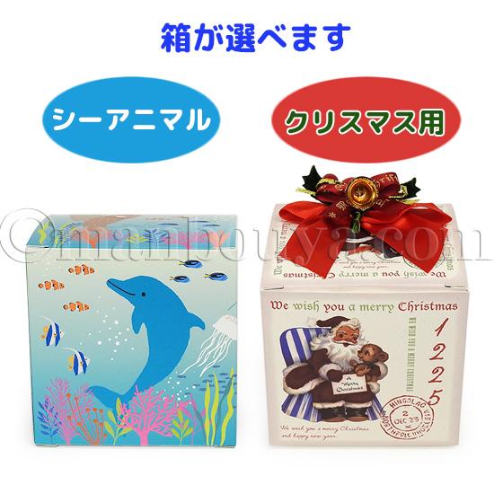 かわいい 動物 ぬいぐるみ ぷちまる クリスマス プレゼント AMUFUN 7点