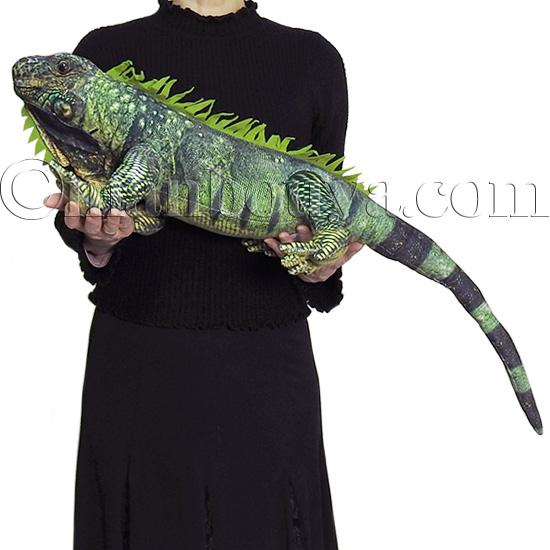 リアル イグアナ ぬいぐるみ 爬虫類 大きい エスワントイズ ワイルド
