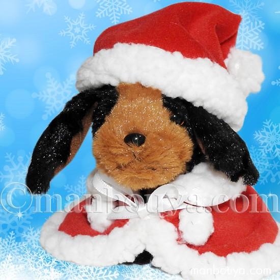 クリスマス ぬいぐるみ 犬 TAKENOKO たけのこ ミニダックスフント 黒 サンタ衣装  まんぼう屋ドットコム｜manbouya｜02