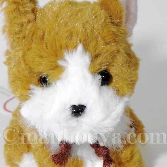 たけのこ ぬいぐるみ 犬 コーギー TAKENOKO JOYFUL MATES