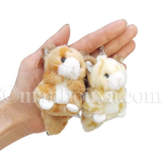 猫 ぬいぐるみ キーホルダー たけのこ Takenoko Joyful Mates ジョイフルメイト ミニミニキッズ ネコ 茶 6cm メール便発送可 Tk まんぼう屋ドットコム Yahoo 店 通販 Yahoo ショッピング