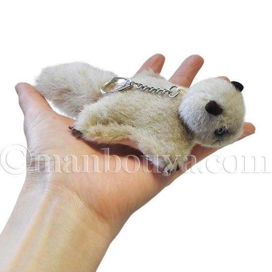 モモンガ ぬいぐるみ たけのこ Takenoko Joyful Mates ジョイフルメイト モモンガ キーチェーン ベージュ 14cm メール便発送可 Tk まんぼう屋ドットコム Yahoo 店 通販 Yahoo ショッピング