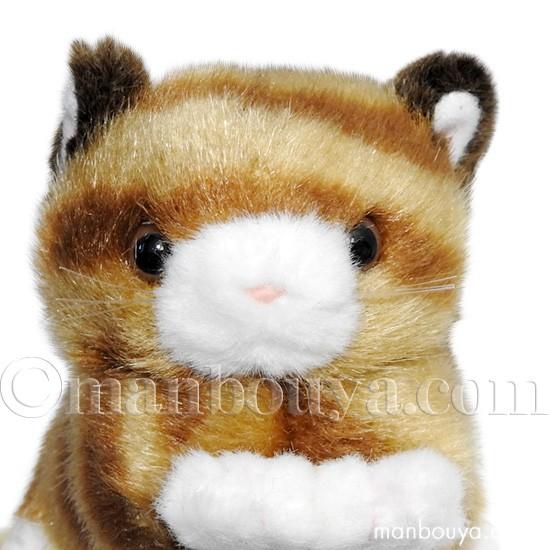 トラネコ ジョイフルメイト 猫 マスコット ねこ ぬいぐるみ タケノコ トラネコ ジョイフルメイト 猫 マスコット ねこ ぬいぐるみ