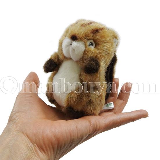 動物 リス ぬいぐるみ たけのこ TAKENOKO プチプチらんど 森のなかま