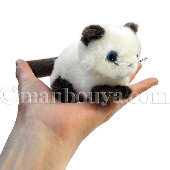 猫 ぬいぐるみ ネコ たけのこ TAKENOKO プチプチらんど シャムネコ