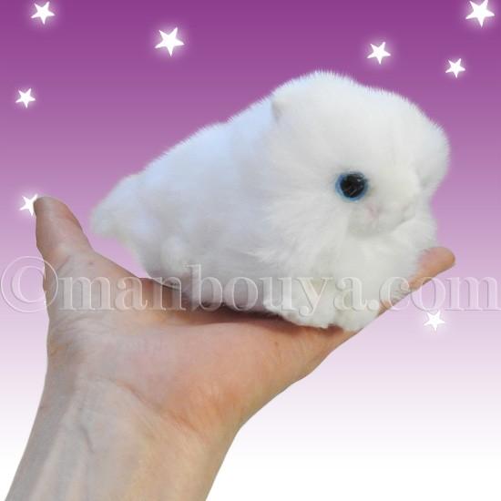 ハロウィン 仮装 猫 ぬいぐるみ たけのこ TAKENOKO プチプチらんど