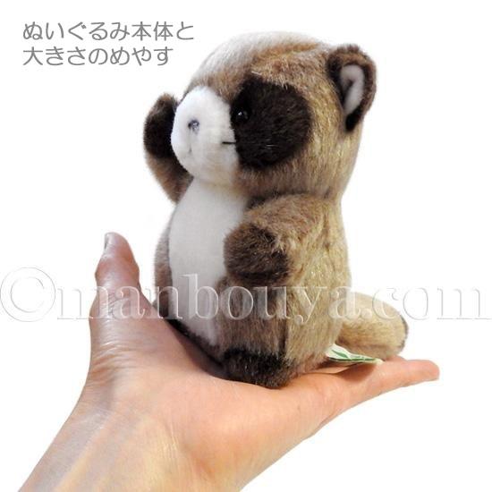 5%OFF タヌキ ぬいぐるみ ハロウィン コスプレ 仮装 たけのこ TAKENOKO