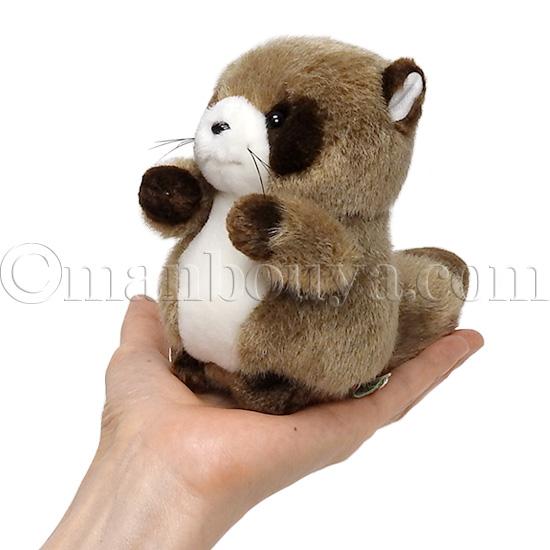 たぬき　ぬいぐるみ 動物 たぬき ぬいぐるみ タヌキ たけのこ TAKENOKO プチプチ