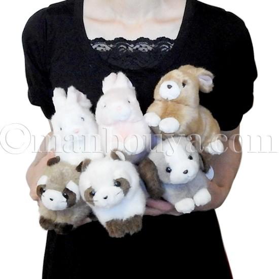 ぬいぐるみ yasukei アライグマ ぬいぐるみ 動物園 たけのこ TAKENOKO JOYFUL MATES