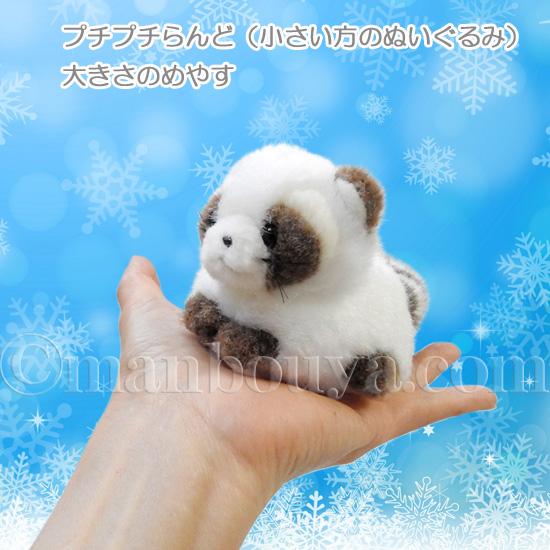 クリスマスプレゼント ぬいぐるみ アライグマ たけのこ TAKENOKO クリスマスプレゼント ぬいぐるみ アライグマ たけのこ TAKENOKO