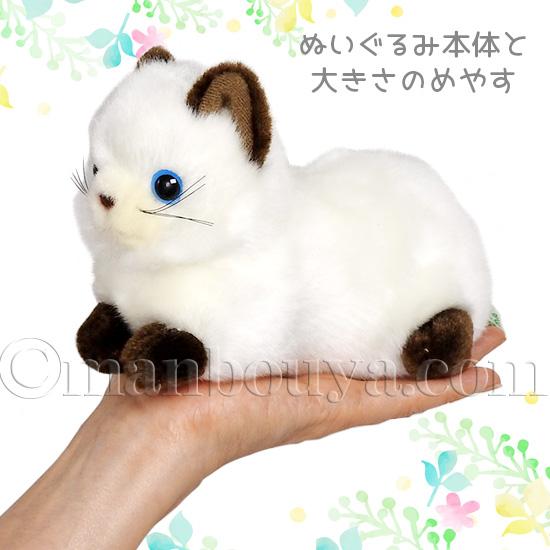 たけのこ 猫 ぬいぐるみ アクセサリー セット フラワーコスプレ プチど