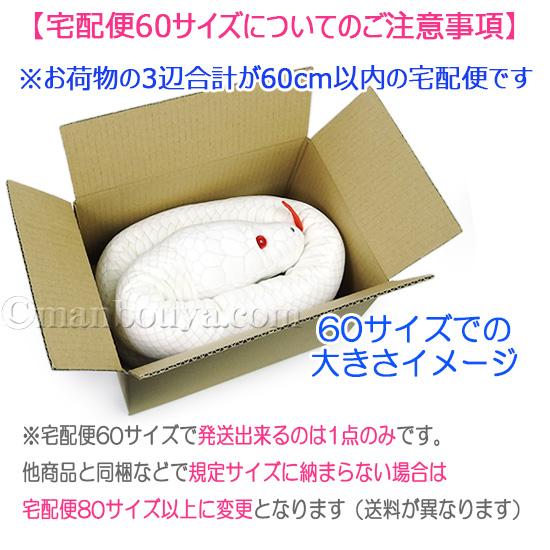 はち⭐️神秘‼️白蛇アルビノ抜け殻 白蛇顔雲龍ミニオルゴナイト 蛇の抜け殻一本入りアルビノ、白蛇様オルゴナイトアート 立体