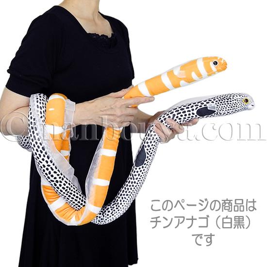 リアル チンアナゴ ぬいぐるみ 水族館グッズ 海の生き物 テイクオフ