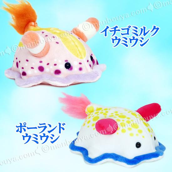 10％OFF ウミウシ グッズ ぬいぐるみ 水族館 テイクオフ takeoff ぽけ