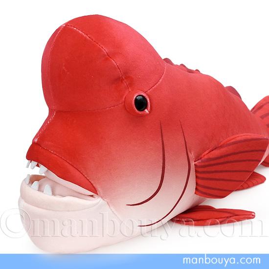 魚 コブダイ ぬいぐるみ 水族館 おもちゃ 人形 テイクオフ takeoff 海