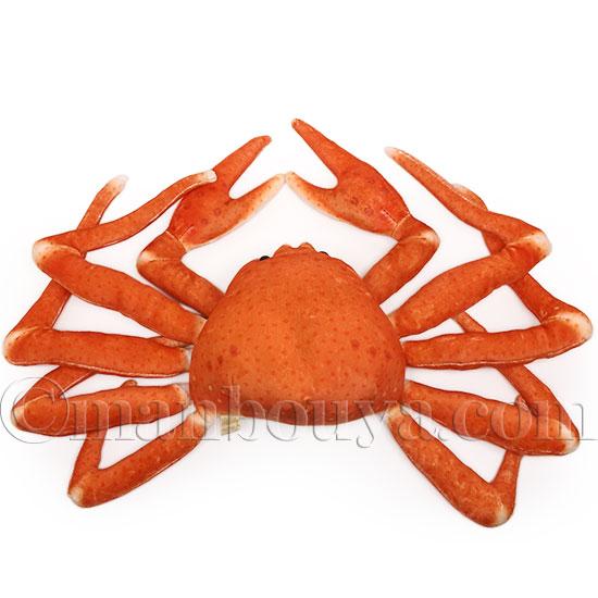 新品　未使用　ずわいガニ　ぬいぐるみ　インテリア　海鮮市場 リアル カニ ぬいぐるみ 海の生き物 水族館 おもちゃ 人形