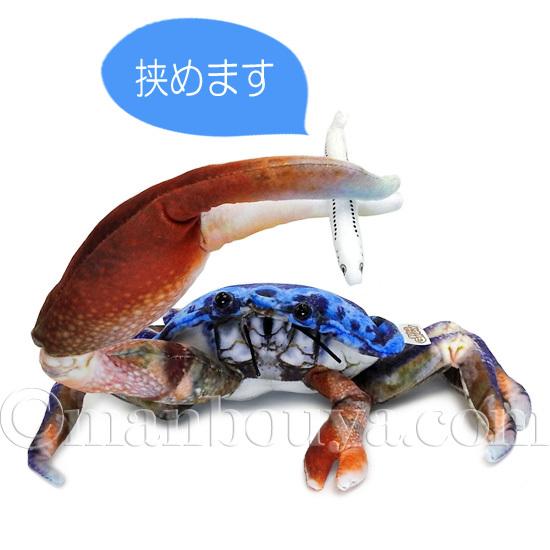カニ ぬいぐるみ シオマネキ リアル 蟹 TST太洋産業貿易 カニ ぬいぐるみ シオマネキ リアル 蟹 TST太洋産業貿易