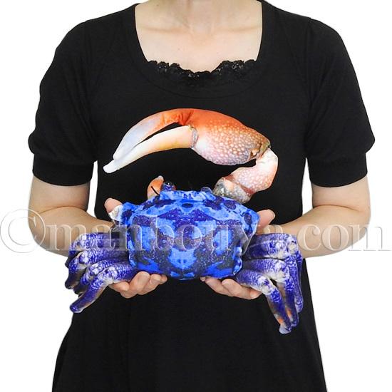 カニ ぬいぐるみ シオマネキ リアル 蟹 TST太洋産業貿易 カニ ぬいぐるみ シオマネキ リアル 蟹 TST太洋産業貿易