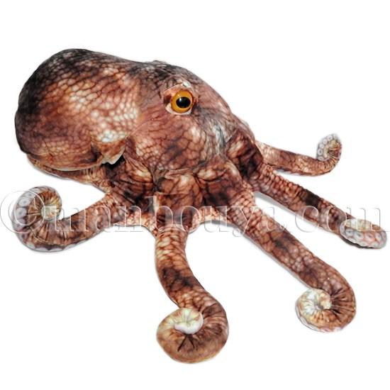 タコ ぬいぐるみ リアル Tst 太洋産業貿易 さかなクン おさかなぬいぐるみ マダコ 50cm Tst Sk001 まんぼう屋ドットコム Yahoo 店 通販 Yahoo ショッピング