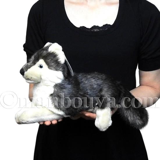 オオカミ ぬいぐるみ 野生動物 おもちゃtst 太洋産業貿易 101 狼 26cm Tst Sm228 まんぼう屋ドットコム Yahoo 店 通販 Yahoo ショッピング