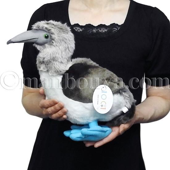 海鳥 ぬいぐるみ カツオドリ Tst 太洋産業貿易 101シリーズ アオアシカツオドリ 30cm Tst Sm311 まんぼう屋ドットコム Yahoo 店 通販 Yahoo ショッピング