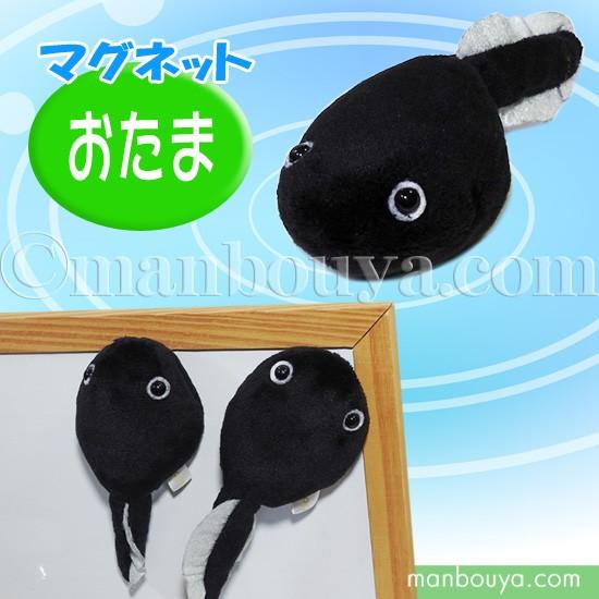 オタマジャクシのぬいぐるみ カエル グッズ Tst 101 おたまじゃくしマグネット ブラック 12cm メール便発送可 Tst Sq041 まんぼう屋ドットコム Yahoo 店 通販 Yahoo ショッピング