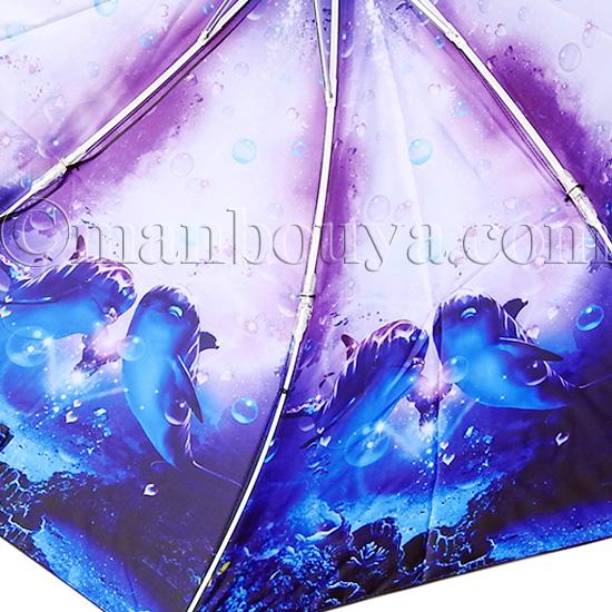 ムラサキイルカさん専用 イルカラダー | 取扱製品 | 内田工業株式会社