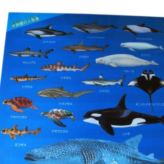 A4 クリアファイル 海の生き物 図鑑タイプ 水族館の人気者 メール便
