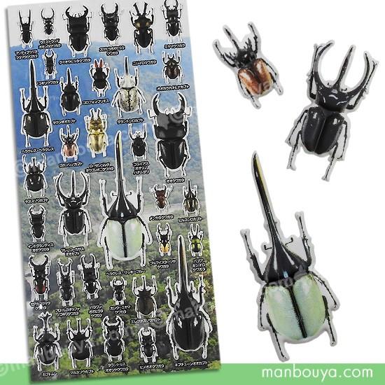 シール ステッカー 昆虫 グッズ リアル 図鑑シリーズ ザ アクセス 甲虫大全 シール ゆうパケット発送可 Za 0131 まんぼう屋ドットコム Yahoo 店 通販 Yahoo ショッピング