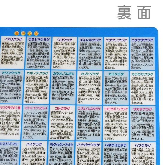 サイズのしたじき クラゲグッズ おもしろ文房具 くらげの図鑑 海月大全したじき ゆうパケット発送可 まんぼう屋ドットコム Za まんぼう屋ドットコム Yahoo 店 通販 Yahoo ショッピング