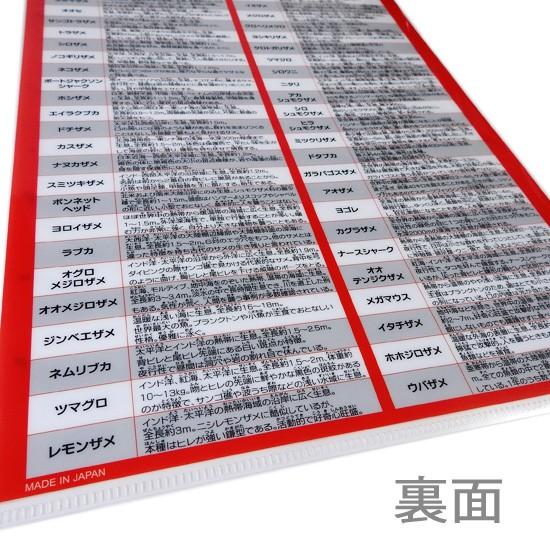 A4 クリアファイル サメ グッズ おもしろ文房具 鮫の図鑑 鮫大全