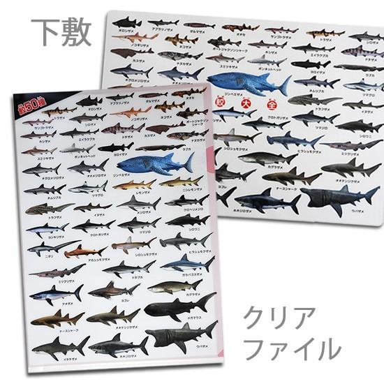 A4 クリアファイル サメ グッズ おもしろ文房具 鮫の図鑑 鮫大全