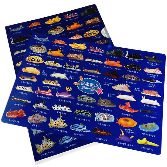 A4 クリアファイル ウミウシ グッズ 海牛 図鑑 ザ・アクセス うみうし