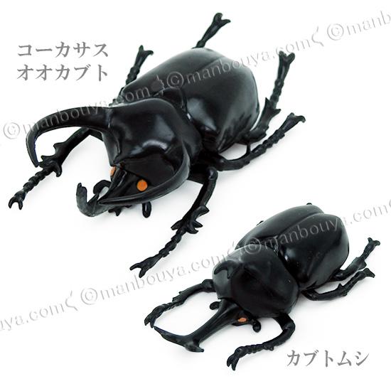 立体昆虫図鑑 世界のカブトムシ 甲虫 おもちゃ リアル