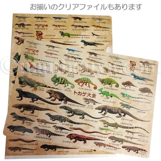お*い様 爬虫類用品② 爬虫類 両生類 飼育ケージ 前開き 30×20×20 爬虫類ケージ GEX