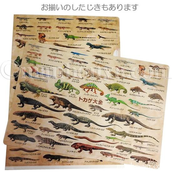 A4 クリアファイル トカゲ 爬虫類 図鑑 文房具 ザ・アクセス トカゲ
