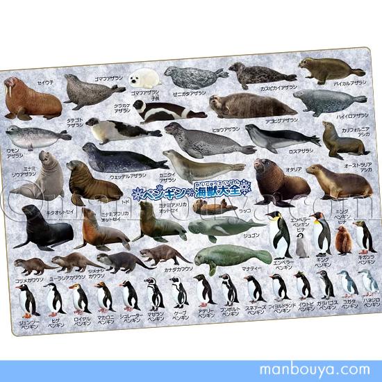 鯨の歯　アザラシとペンギンの置物 2体セット ペンギン アザラシ 文房具 A4サイズ 下敷き 図鑑 大全シリーズ ザ