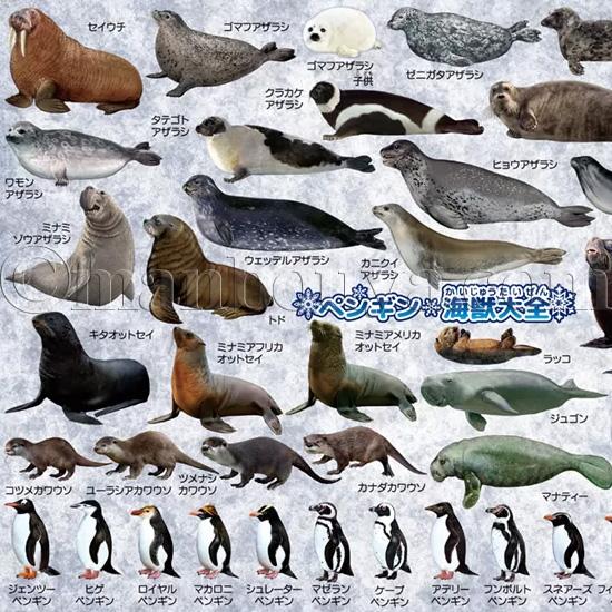ペンギン アザラシ 文房具 A4サイズ 下敷き 図鑑 大全シリーズ