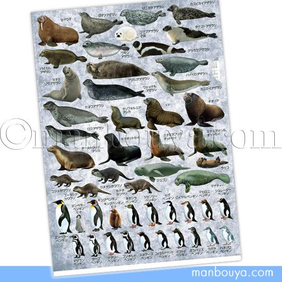 ペンギン アザラシ 文房具 A4 クリアファイル 図鑑 大全シリーズ ザ
