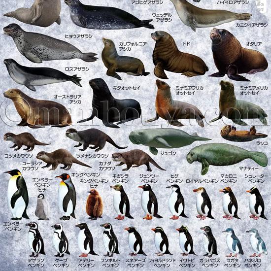ペンギン アザラシ 文房具 A4 クリアファイル 図鑑 大全シリーズ ザ