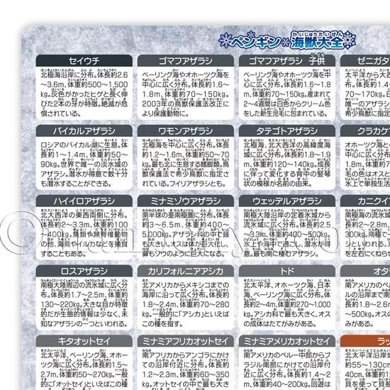 ペンギン アザラシ 文房具 A4 クリアファイル 図鑑 大全シリーズ ザ