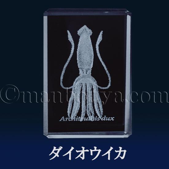 在庫限り 深海魚 グッズ ガラス 置物 レーザー彫刻 クリスタル