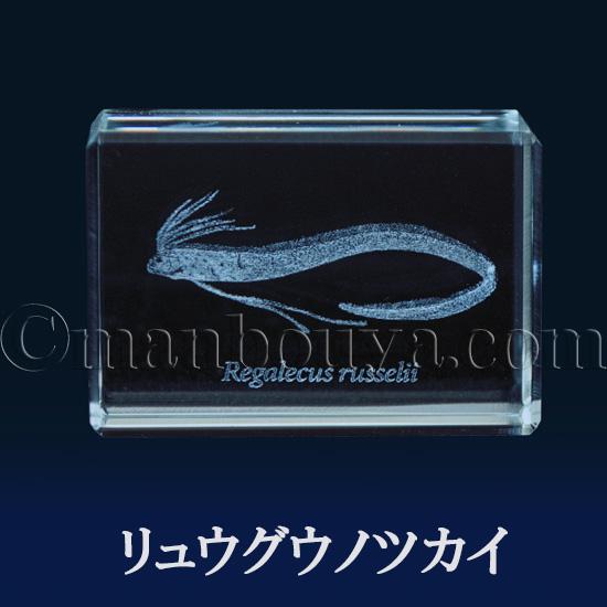 在庫限り 深海魚 グッズ ガラス 置物 レーザー彫刻 クリスタル キュー