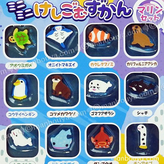 消しゴム 水族館 プチボトルパラダイス ミニミニけしごむずかん マリン