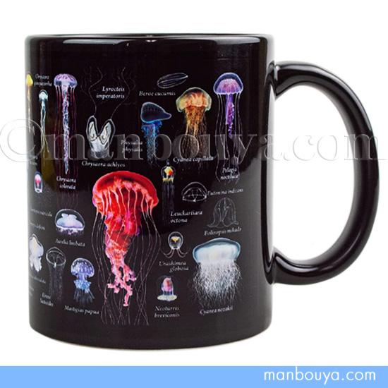 レイチェルオムレットさん　クラゲの蓋物 9751.jpg