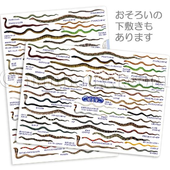A4 クリアファイル ヘビ 蛇 図鑑 爬虫類 文房具 ザ・アクセス ヘビ大全