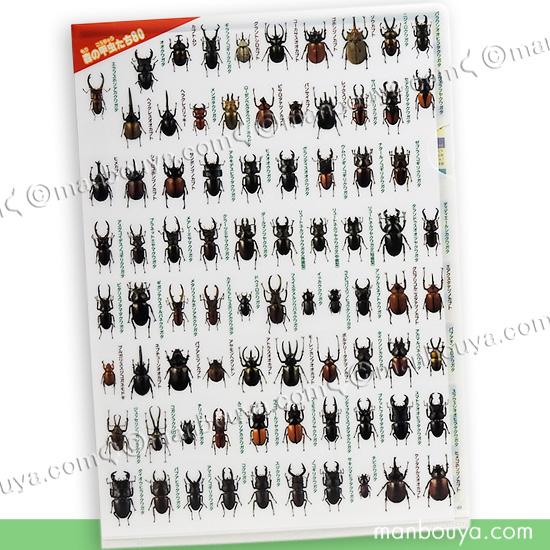 A4 クリアファイル 昆虫 文房具 図鑑シリーズ ザ・アクセス 甲虫大全