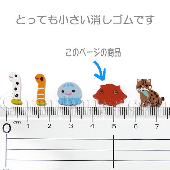 メンダコ グッズ 水族館 お土産 プチボトルパラダイス ミニ消しゴム