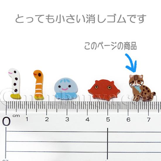 ☆みーさま専用☆スナネコグッズ スナドリネコ グッズ 動物園 おみやげ プチボトルパラダイス ミニ