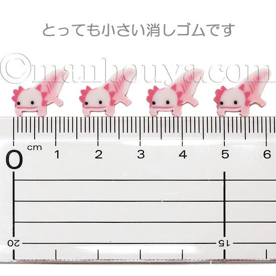 ウーパールーパー グッズ 文房具 ミニ消しゴム プチボトルパラダイス